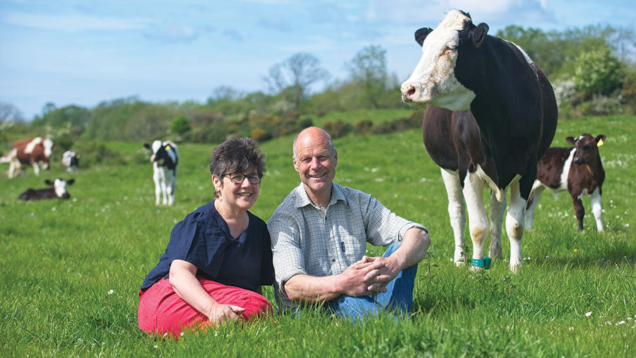 Middle aged, ethical Farming Couple sitting in green field with cow in the back ground.
